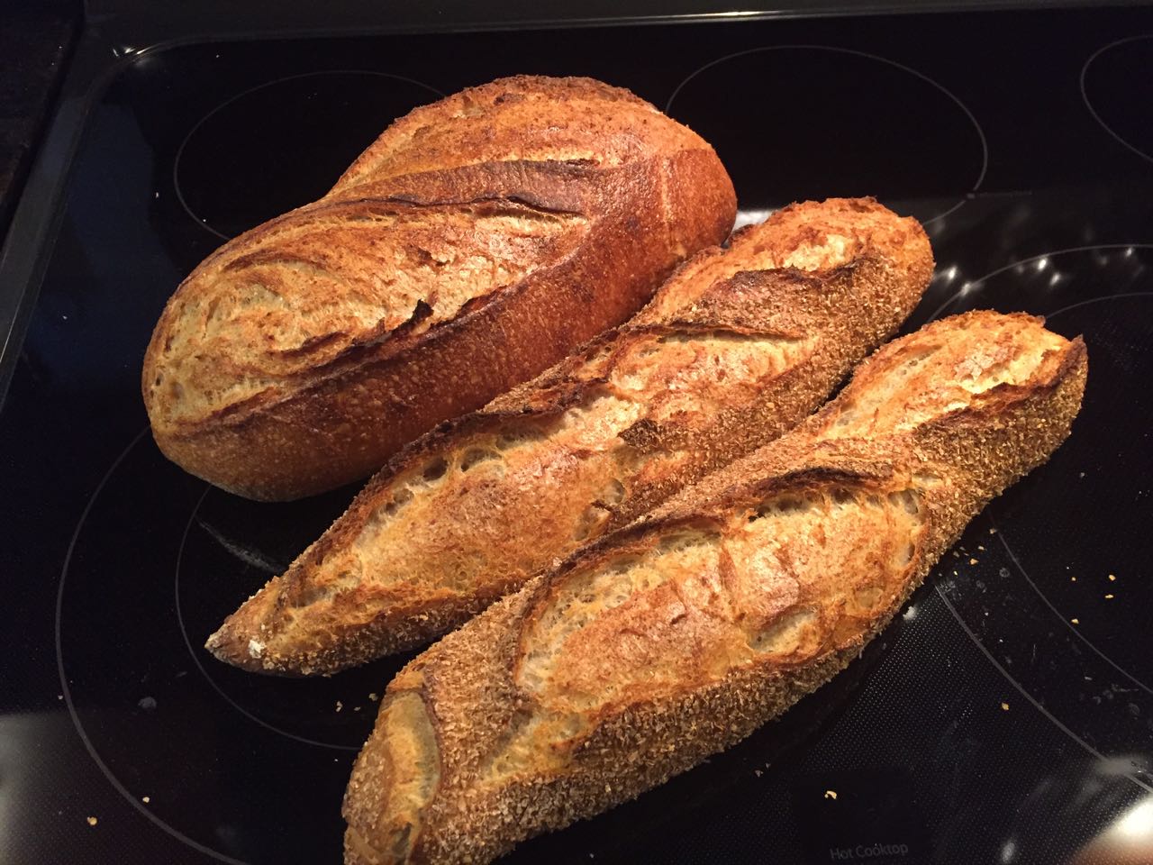 Abel's Catalan Peasant Bread The Fresh Loaf